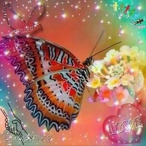 Meet your Posher, Ma